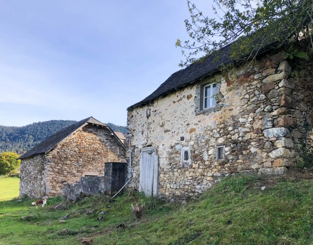 Façade existante de deux granges à Lescun